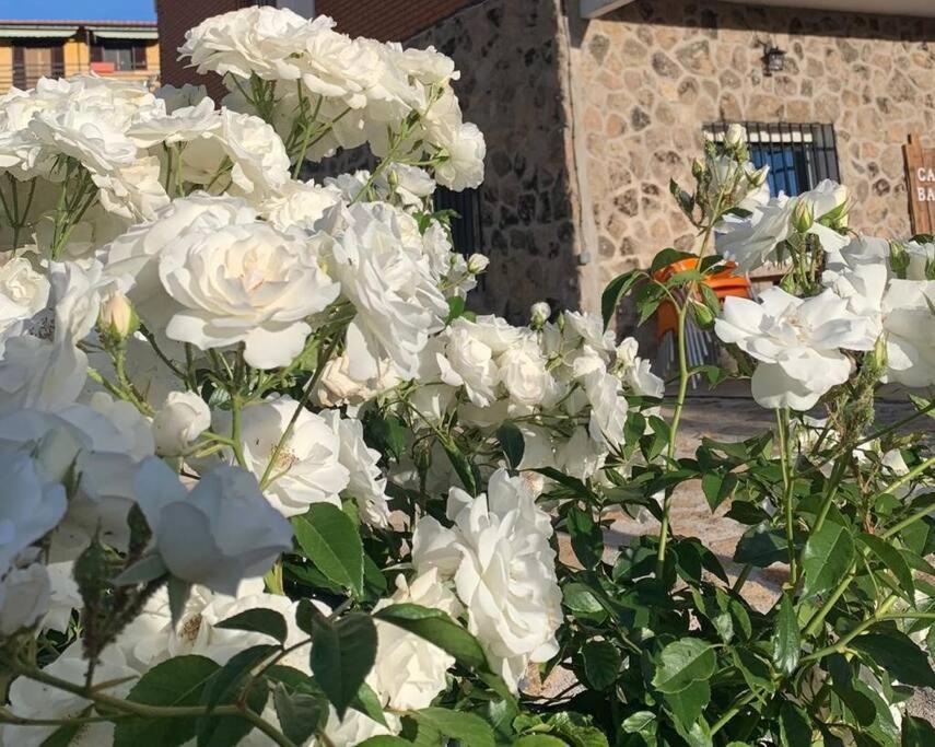 Вилла Casa Balta Авила Экстерьер фото